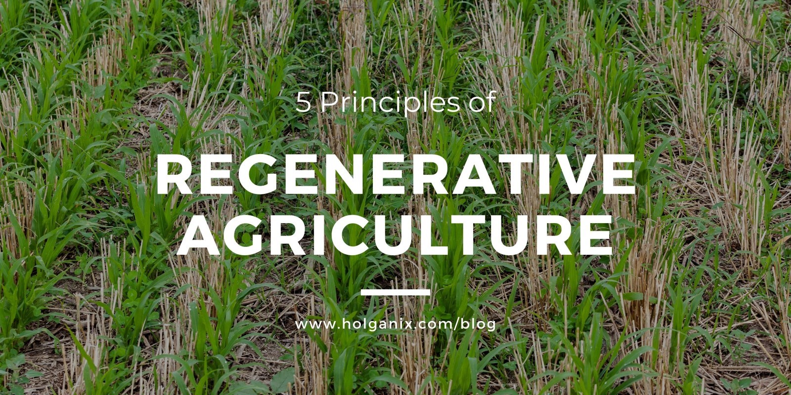 5 Principles of Regenerative Agriculture