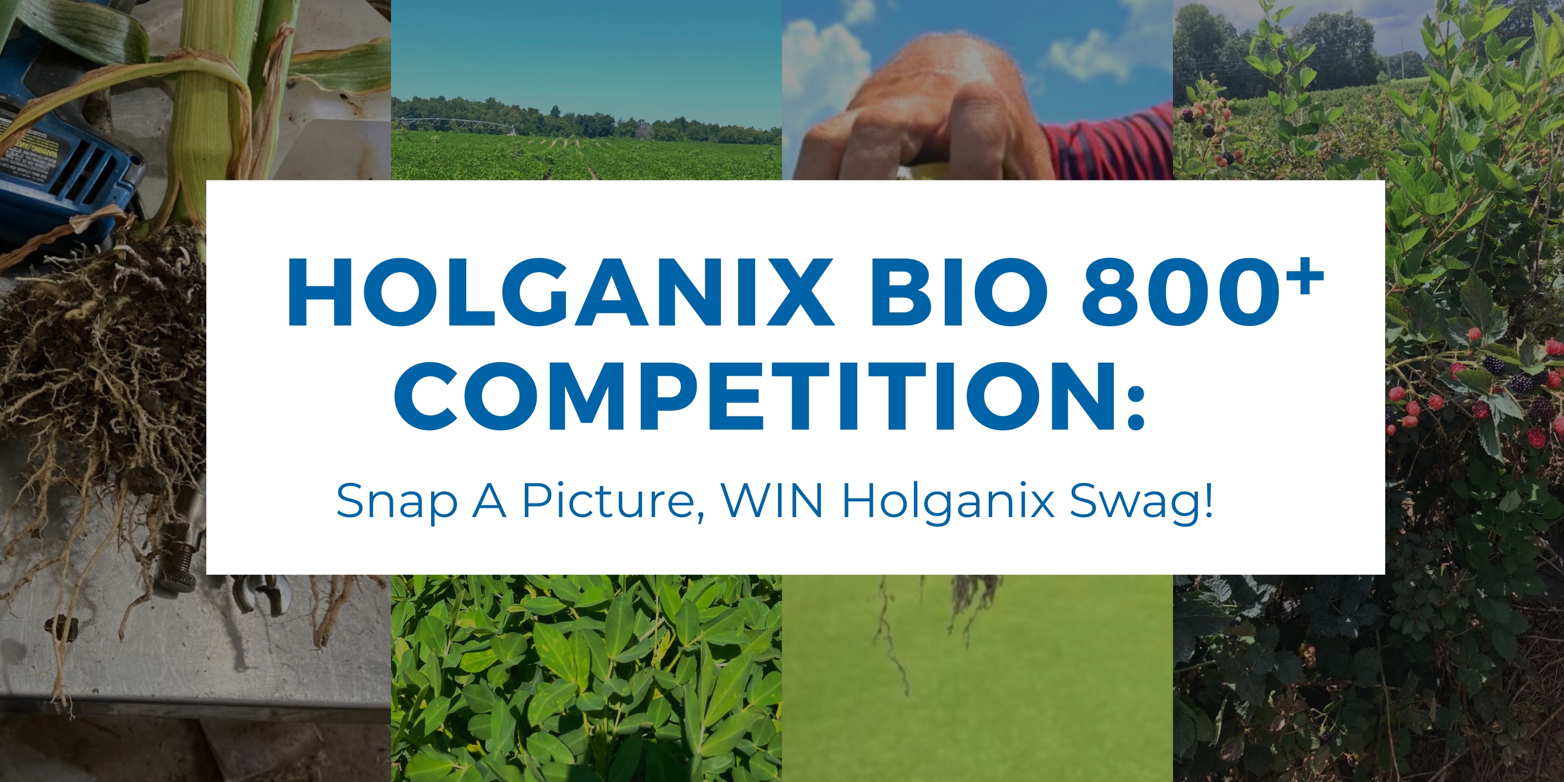 Holganix Bio 800 Competition: Snap a picture, WIN Holganix Swag!